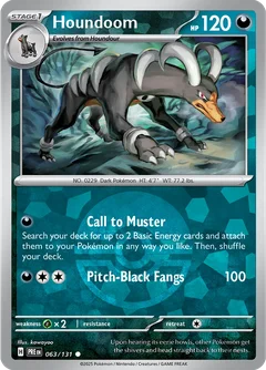 Houndoom Poke ball Holo 63